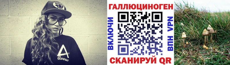 Галлюциногенные грибы Magic Shrooms наркошоп кракен рабочий сайт Артёмовский